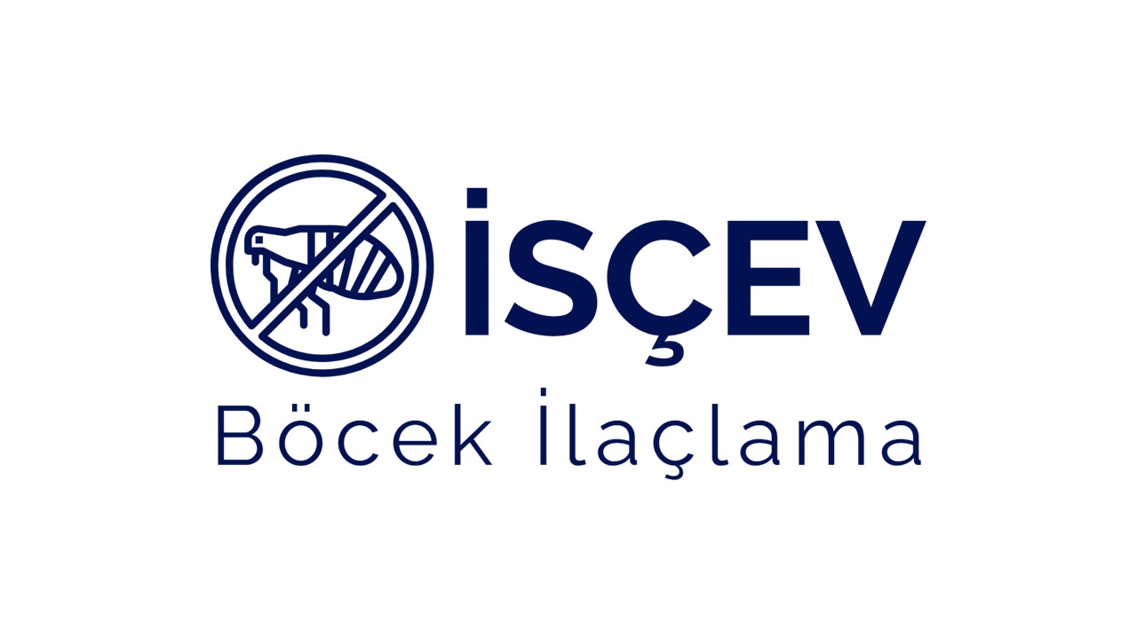 İsÇev Böcek İlaçlama